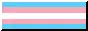 Trans pride flag
