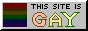 This website is gay